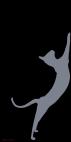 ORIENTAL-Gris-perle ORIENTAL Rouge Chat oriental Showroom - Inkjet sur plexi, éditions limitées, numérotées et signées .Peinture animalière Art et décoration.Images multiples, commandez au peintre Thierry Bisch online